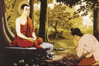 Lời Phật dạy về việc tự thấy xấu hổ: Không chịu hiểu thì sống như loài thú